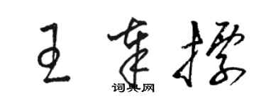 駱恆光王奉標草書個性簽名怎么寫