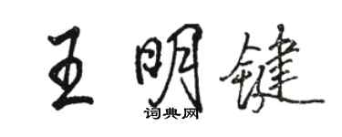 駱恆光王明鍵行書個性簽名怎么寫