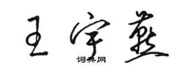 駱恆光王宇燕草書個性簽名怎么寫