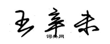 朱錫榮王辛未草書個性簽名怎么寫