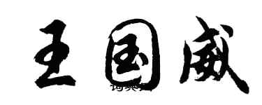 胡問遂王國威行書個性簽名怎么寫