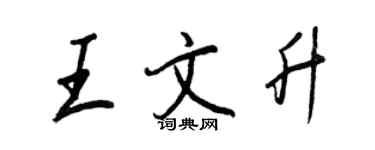 王正良王文升行書個性簽名怎么寫