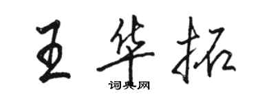 駱恆光王華拓行書個性簽名怎么寫