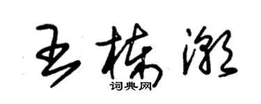 朱錫榮王棟潮草書個性簽名怎么寫