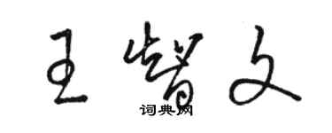 駱恆光王智文草書個性簽名怎么寫