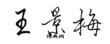 駱恆光王景梅行書個性簽名怎么寫