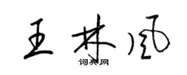 梁錦英王林風草書個性簽名怎么寫