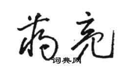駱恆光蔣亮草書個性簽名怎么寫