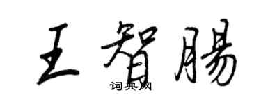 王正良王智腸行書個性簽名怎么寫
