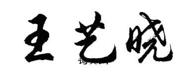 胡問遂王藝曉行書個性簽名怎么寫