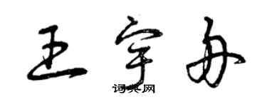 曾慶福王宇舟草書個性簽名怎么寫