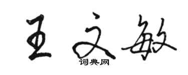 駱恆光王文敏行書個性簽名怎么寫