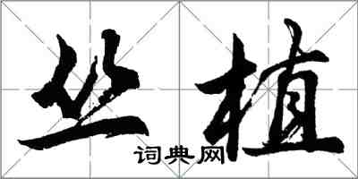 胡問遂叢植行書怎么寫