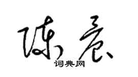 梁錦英陳晨草書個性簽名怎么寫