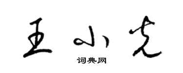 梁錦英王小光草書個性簽名怎么寫