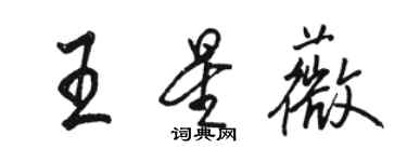 駱恆光王星薇行書個性簽名怎么寫