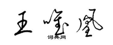 梁錦英王唯凰草書個性簽名怎么寫
