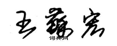 朱錫榮王蘇宏草書個性簽名怎么寫