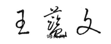 駱恆光王藍文草書個性簽名怎么寫