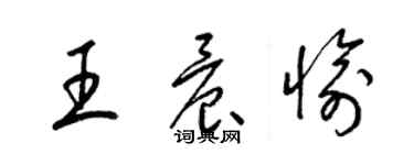 梁錦英王晨愉草書個性簽名怎么寫