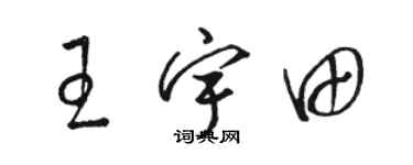 駱恆光王宇田草書個性簽名怎么寫