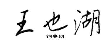 王正良王也湖行書個性簽名怎么寫