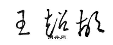 駱恆光王超胡草書個性簽名怎么寫