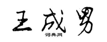 曾慶福王成男行書個性簽名怎么寫