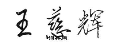 駱恆光王慈輝行書個性簽名怎么寫