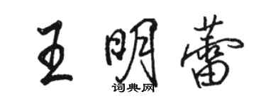 駱恆光王明蕾行書個性簽名怎么寫