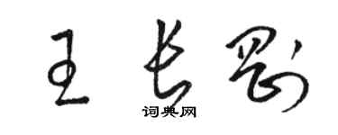 駱恆光王長剛草書個性簽名怎么寫