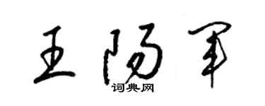 梁錦英王陽軍草書個性簽名怎么寫