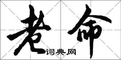 胡問遂老命行書怎么寫