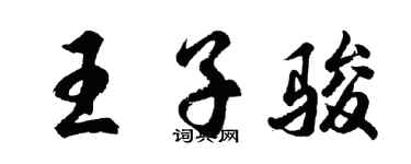 胡問遂王子駿行書個性簽名怎么寫