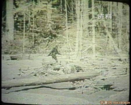 中國20位專家再次前往神農架科考野人