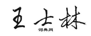 駱恆光王士林行書個性簽名怎么寫