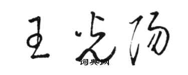 駱恆光王光陽草書個性簽名怎么寫