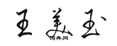 駱恆光王美玉行書個性簽名怎么寫