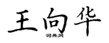 丁謙王向華楷書個性簽名怎么寫