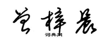 朱錫榮曾梓晨草書個性簽名怎么寫