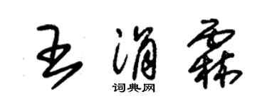 朱錫榮王涓霖草書個性簽名怎么寫