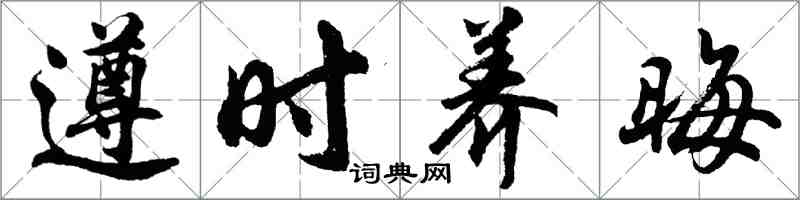 胡問遂遵時養晦行書怎么寫