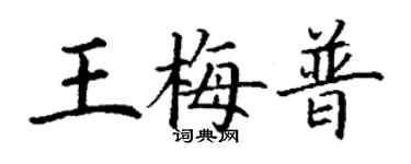 丁謙王梅普楷書個性簽名怎么寫