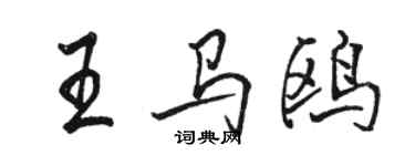 駱恆光王馬鷗行書個性簽名怎么寫