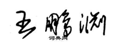 朱錫榮王鵬淵草書個性簽名怎么寫