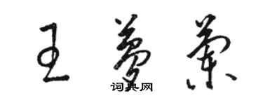 駱恆光王夢蘭草書個性簽名怎么寫