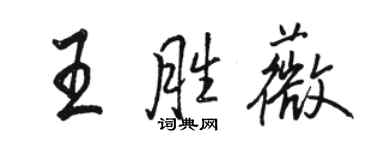 駱恆光王勝薇行書個性簽名怎么寫
