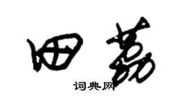 朱錫榮田荔草書個性簽名怎么寫