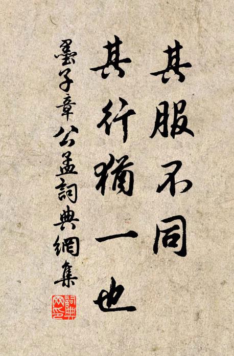 蒼徑望不盡,白雲行漸深 詩詞名句