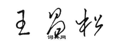 駱恆光王昌松草書個性簽名怎么寫